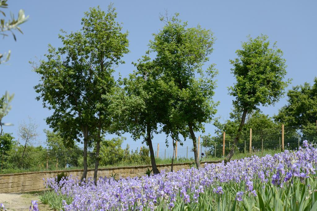 Agriturismo Villa Iris Castelfranco di Sopra ภายนอก รูปภาพ