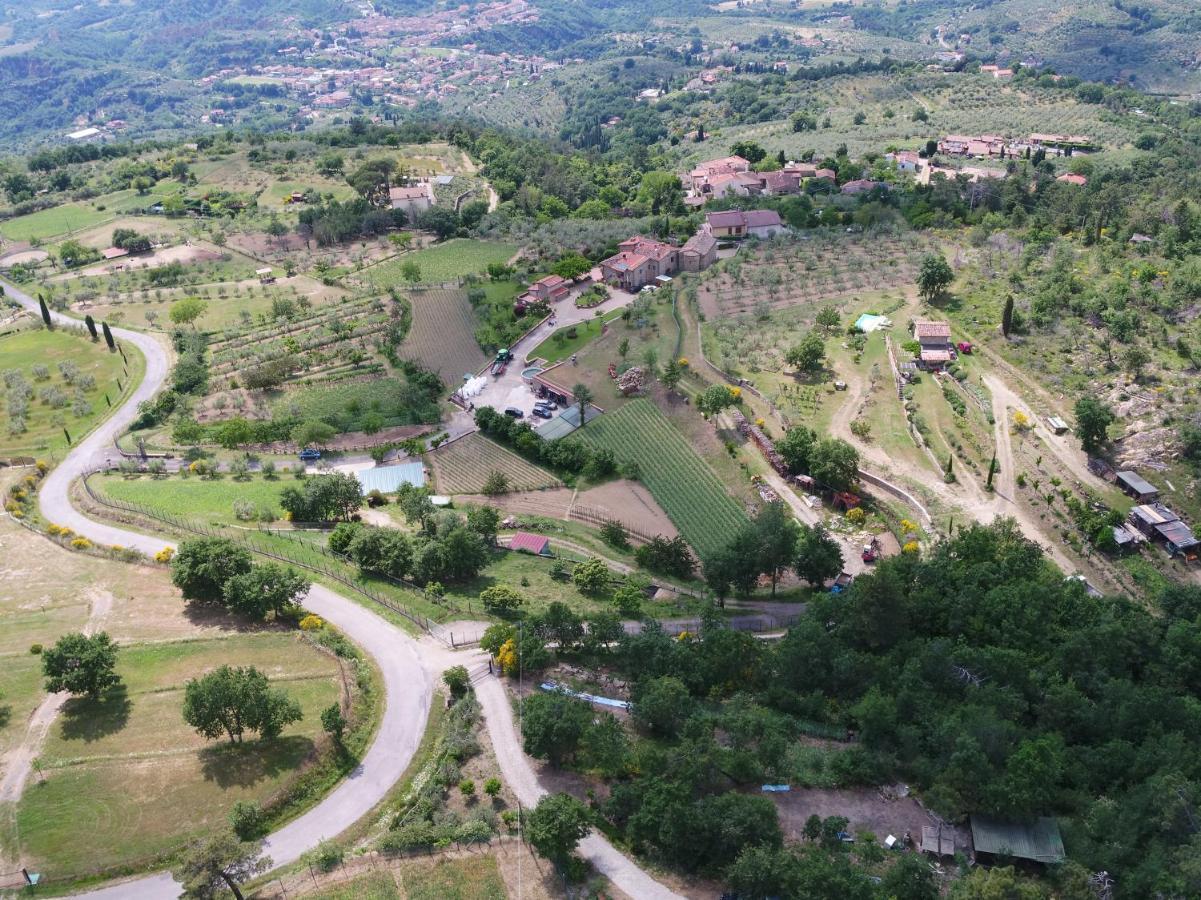 Agriturismo Villa Iris Castelfranco di Sopra ภายนอก รูปภาพ